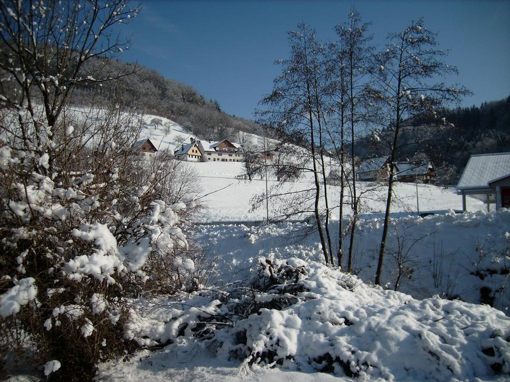 Finken, Gaestezimmer An Der Rench Oppenau Exterior photo